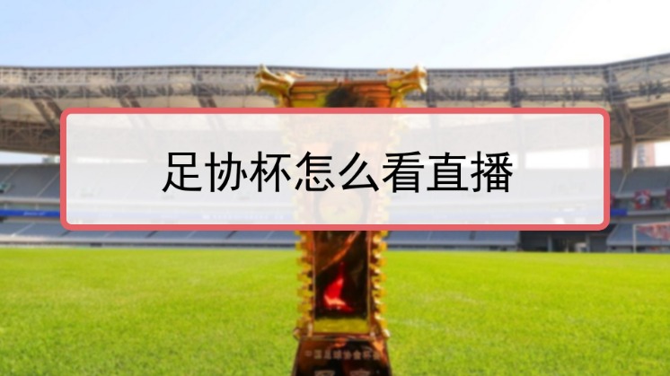 2024中超直播平台